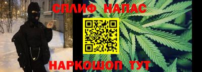 дмт Бузулук