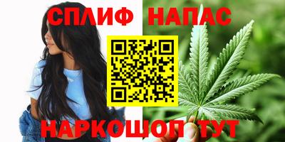 шишки Будённовск