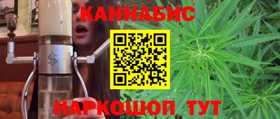 шишки Будённовск